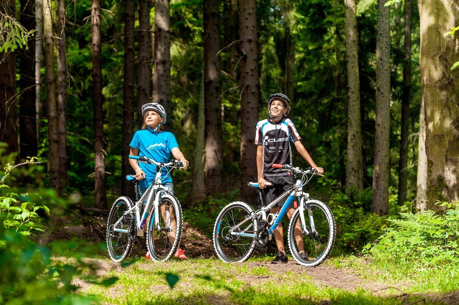 Чем заняться. Снять дом в Козельске — аренда домов с видом на Оптина Пустынь