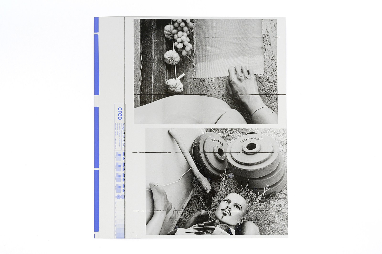 Shop. Immersion — a documentary photo project and a collector’s book