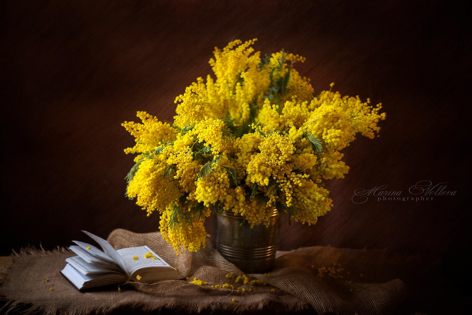 Ваш личный фотограф Марина Волкова