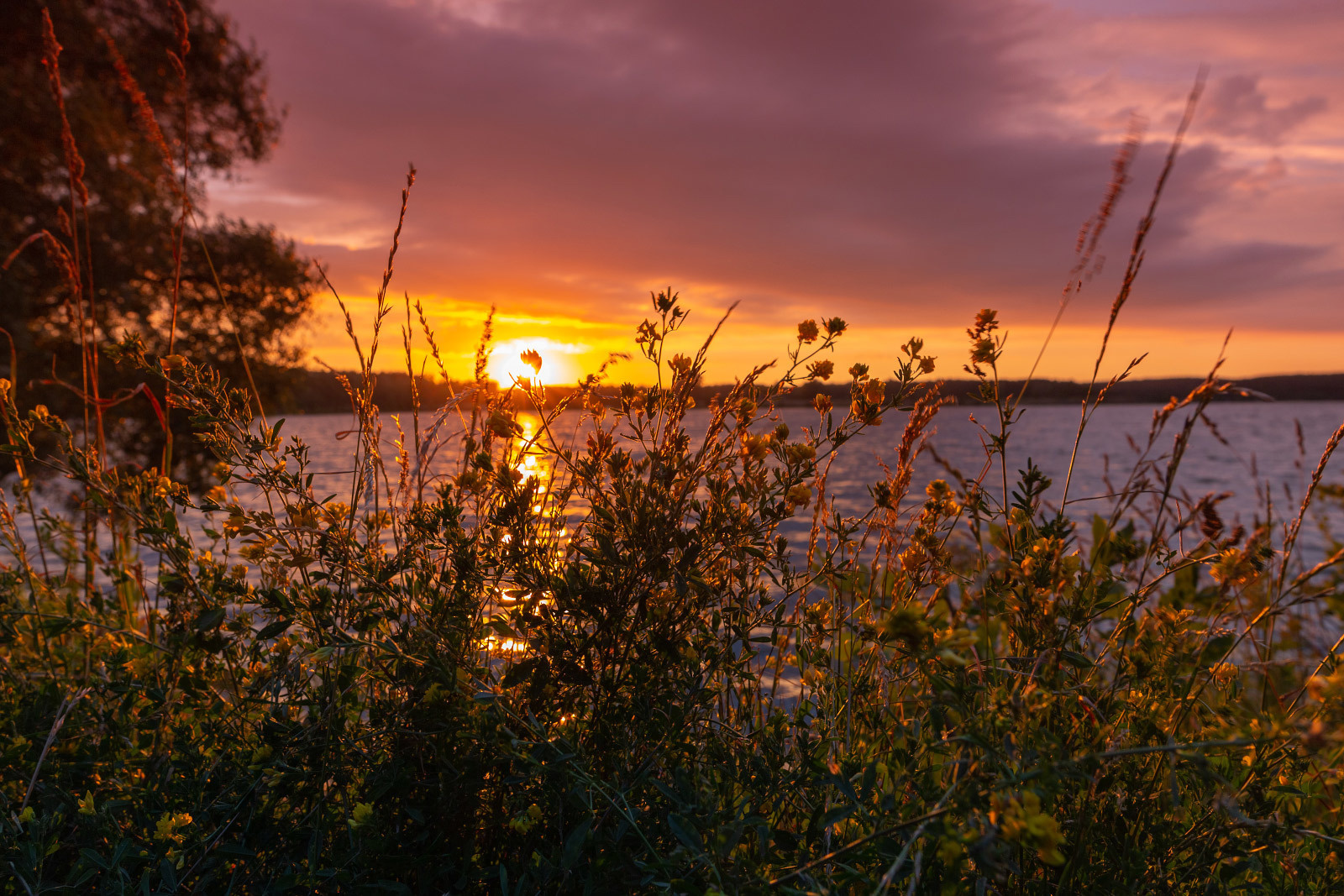 Покатушка фотоклуба. Фотограф Евгений Стельмах в Молодечно и Минске