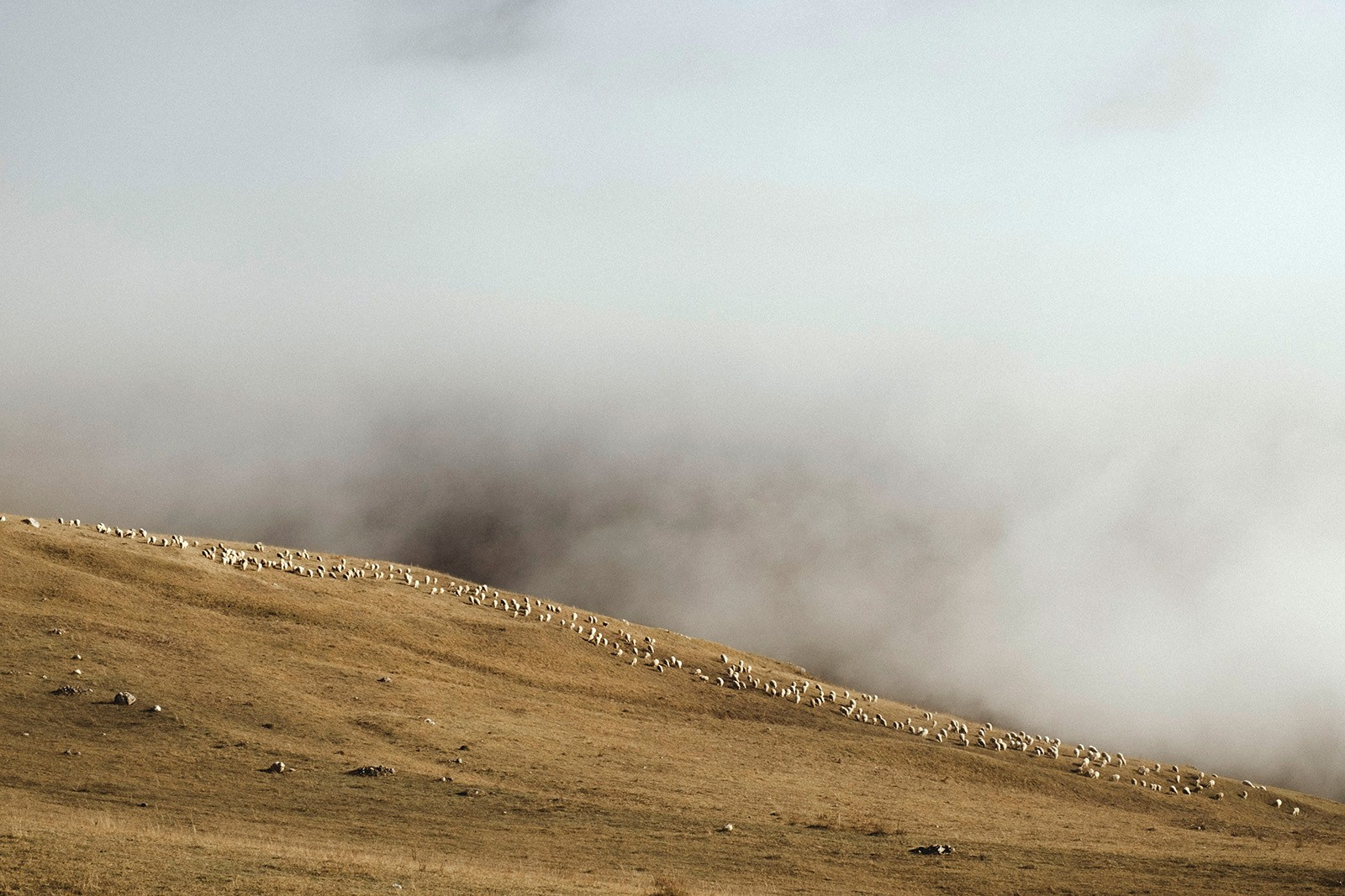 Prints. North Ossetia