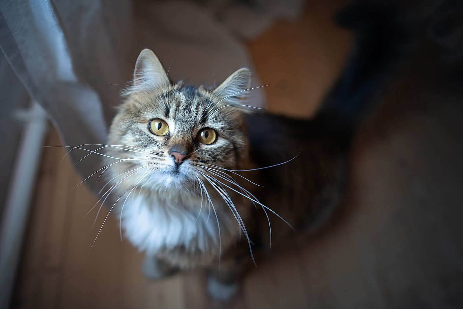 Фотосъемка еды, фуд съёмка для каталогов и интернета Москва, Московская область, Железнодорожный, Балашиха