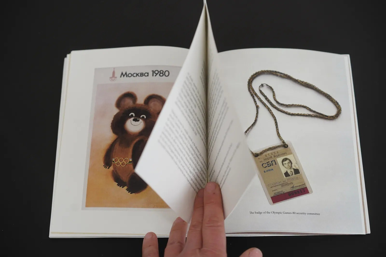 ОБЗОР АКТУАЛЬНЫХ ФОТОКНИГ: BINOM. Самоорганизация Низина