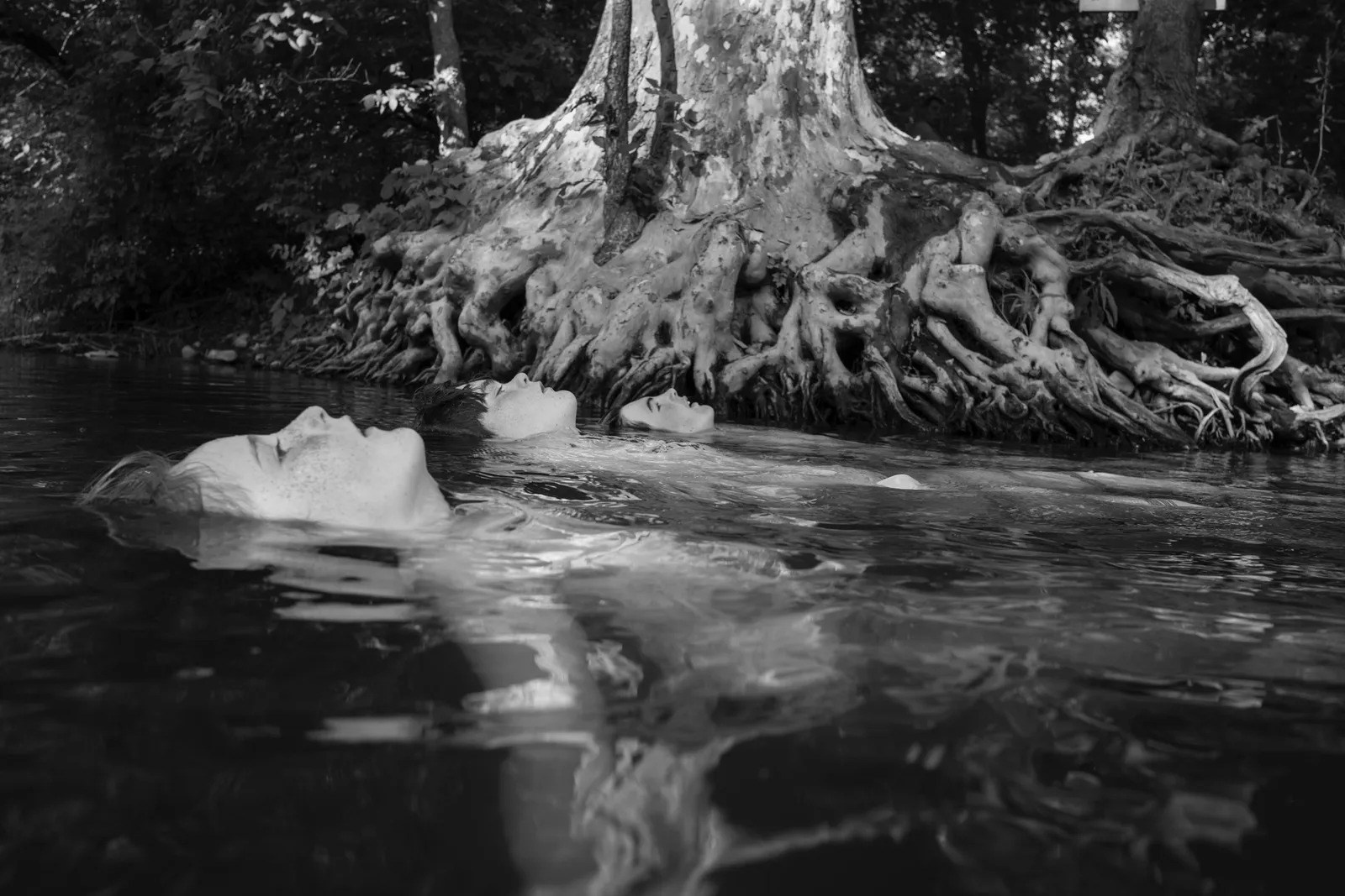 Кристина Сергеева: Делает ли красота фотографию искусством?. Самоорганизация Низина