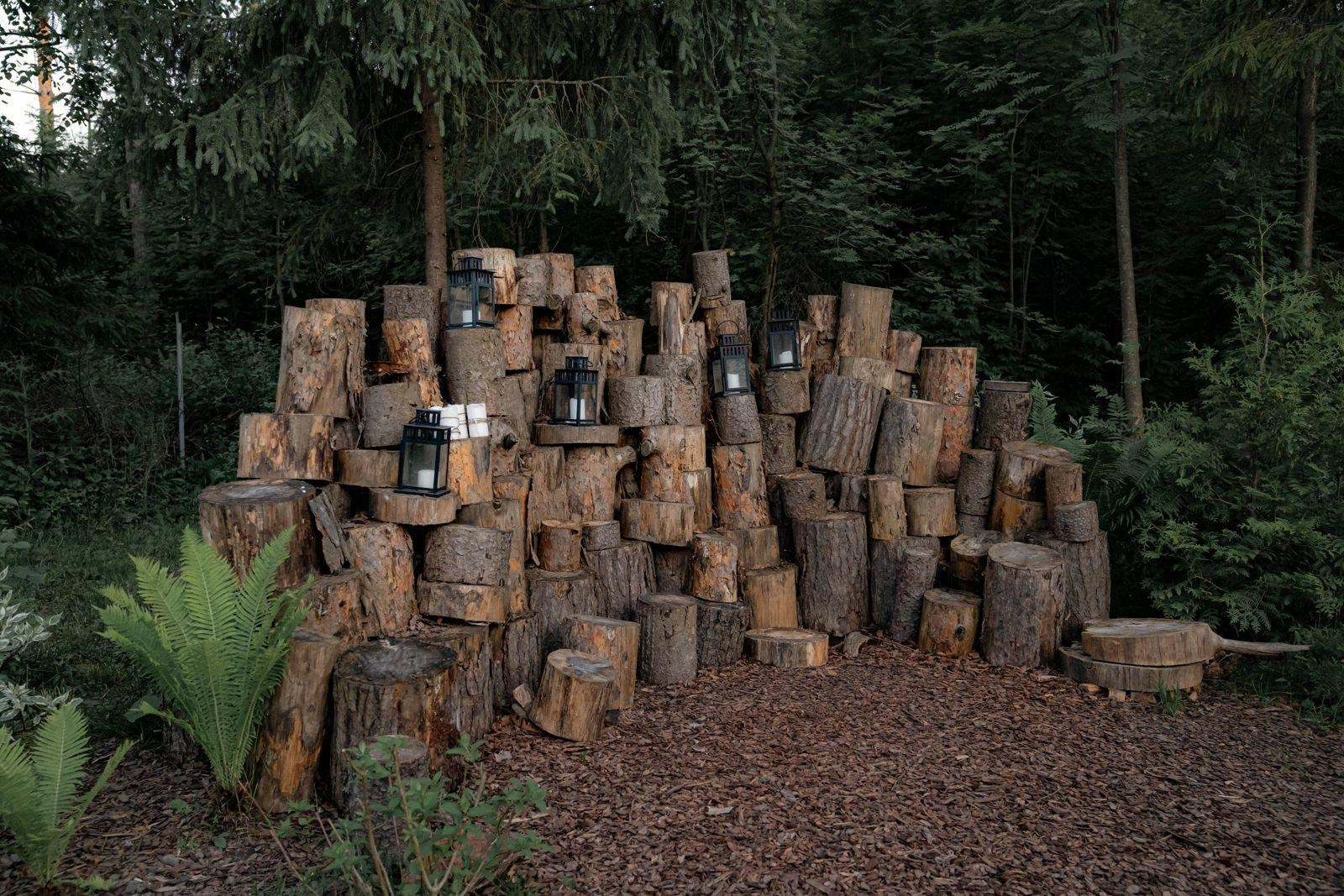 Фотозоны площадки мз ДУЛ