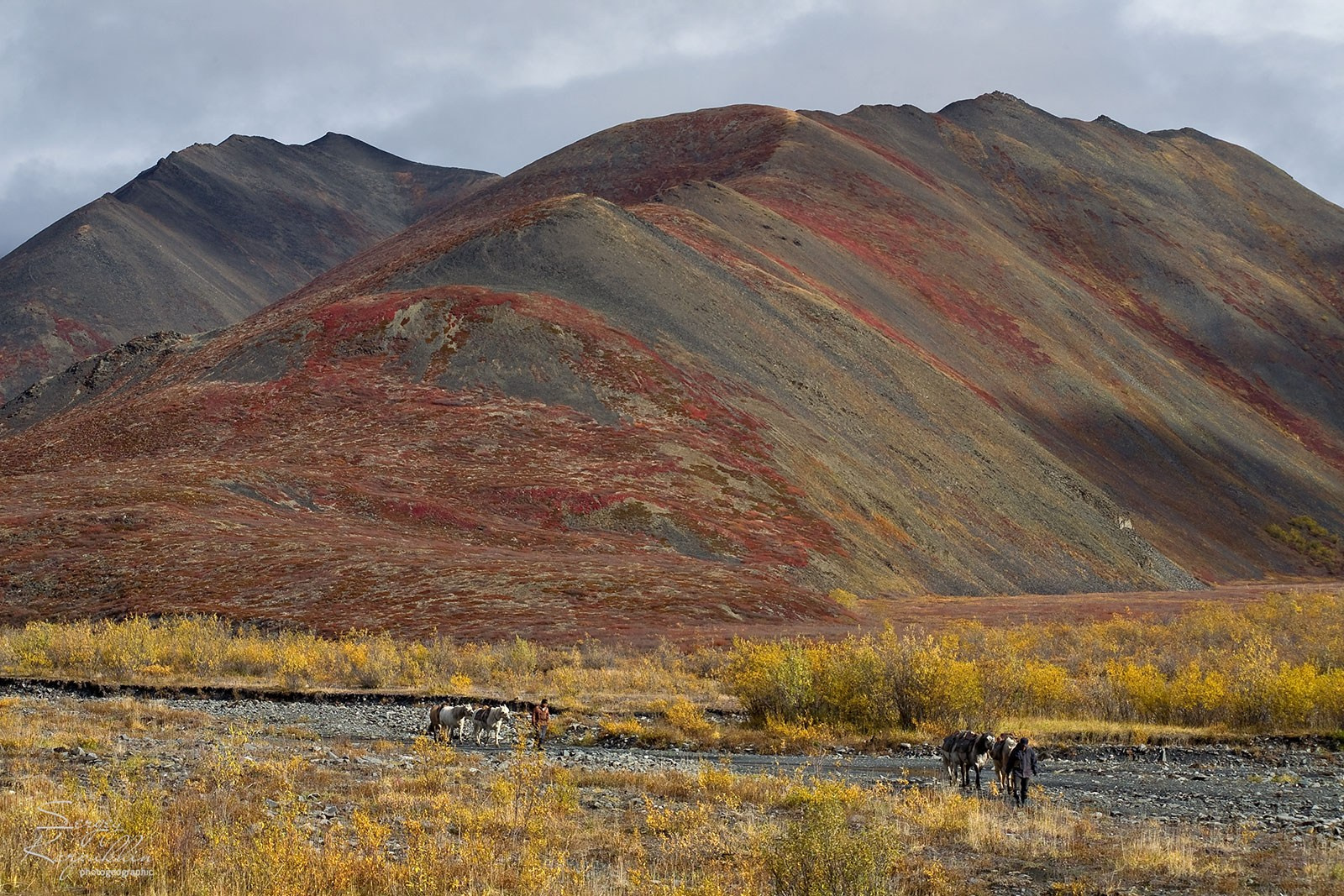 Момский хребет