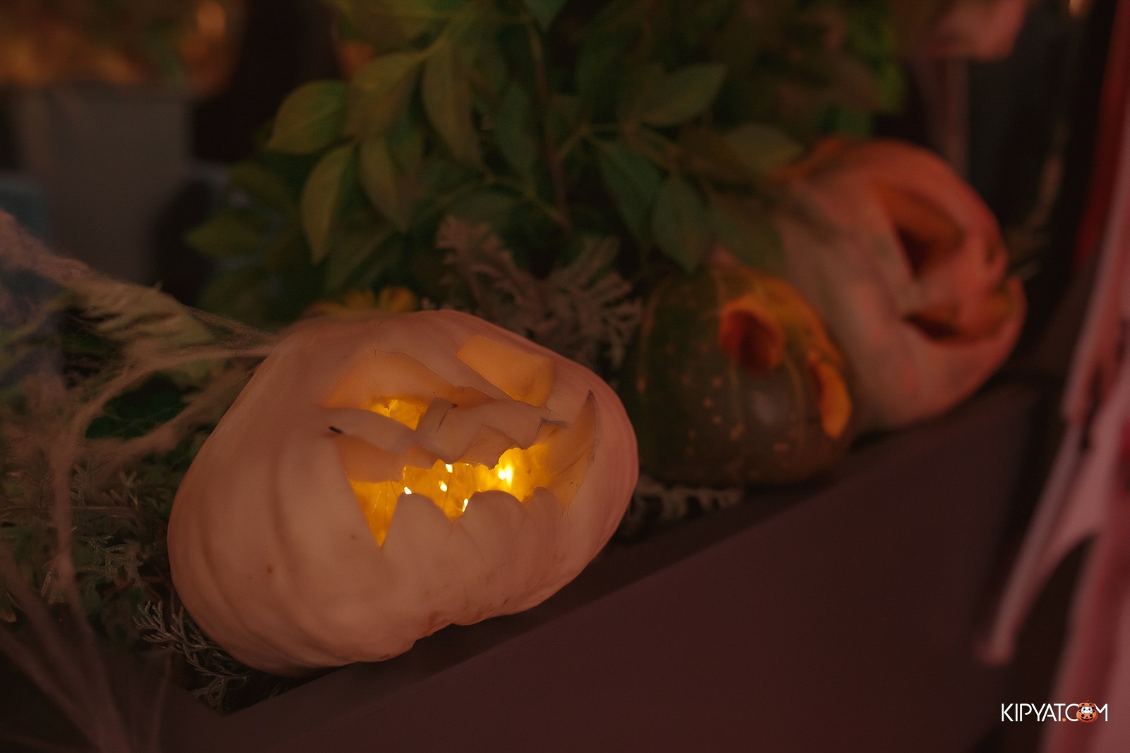 Пинта Bar & Grill на ул. Таттимбета. Кипятком Караганда