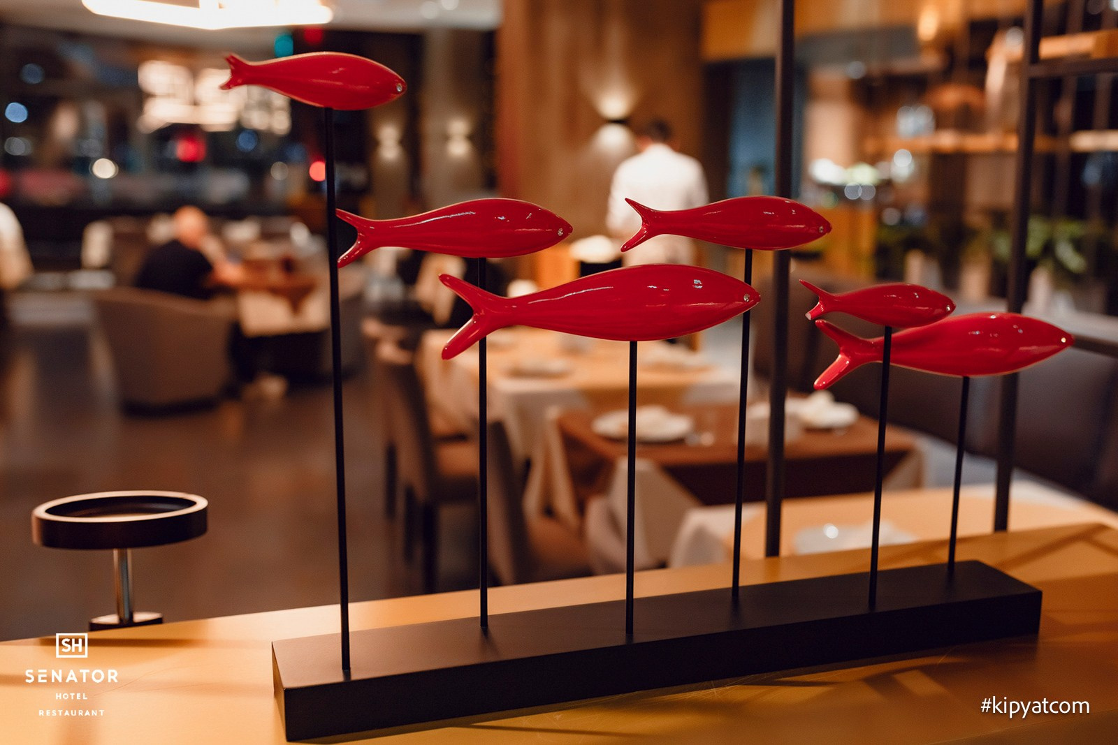 Senator. Кипятком Караганда