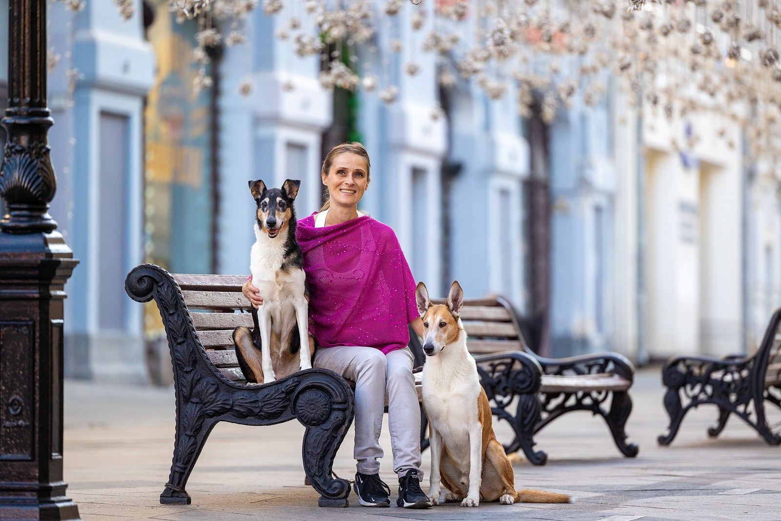 Выбираем тип съёмки. Фотограф-анималист Natalia Deingel | Фотосъемка собак в Москве