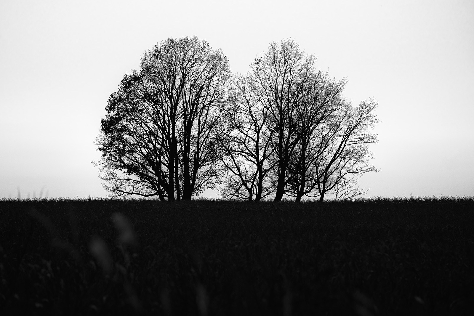 Фотокартины. Ivan Zaitsev (IZIART) — creating a cultural code through photo and video