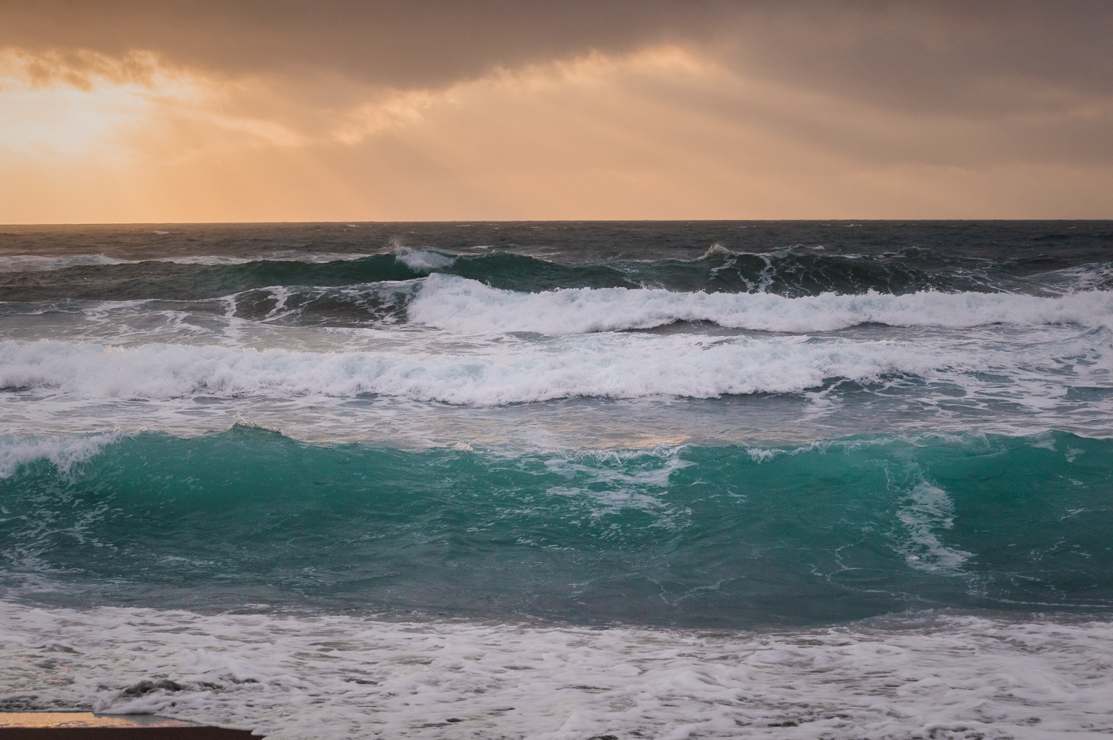 Фотограф ип