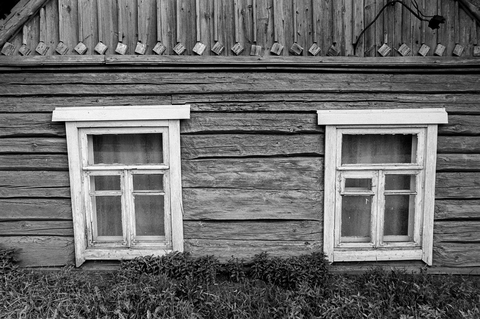 Температура раствора для обработки плёнок. Фотограф Евгений Стельмах в Молодечно и Минске