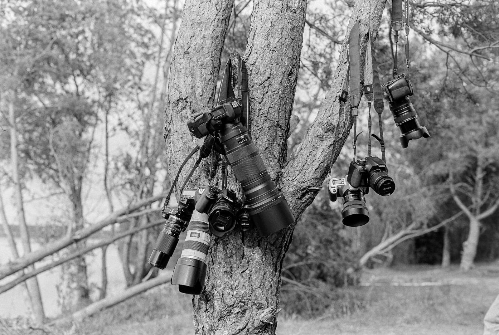 Температура раствора для обработки плёнок. Фотограф Евгений Стельмах в Молодечно и Минске