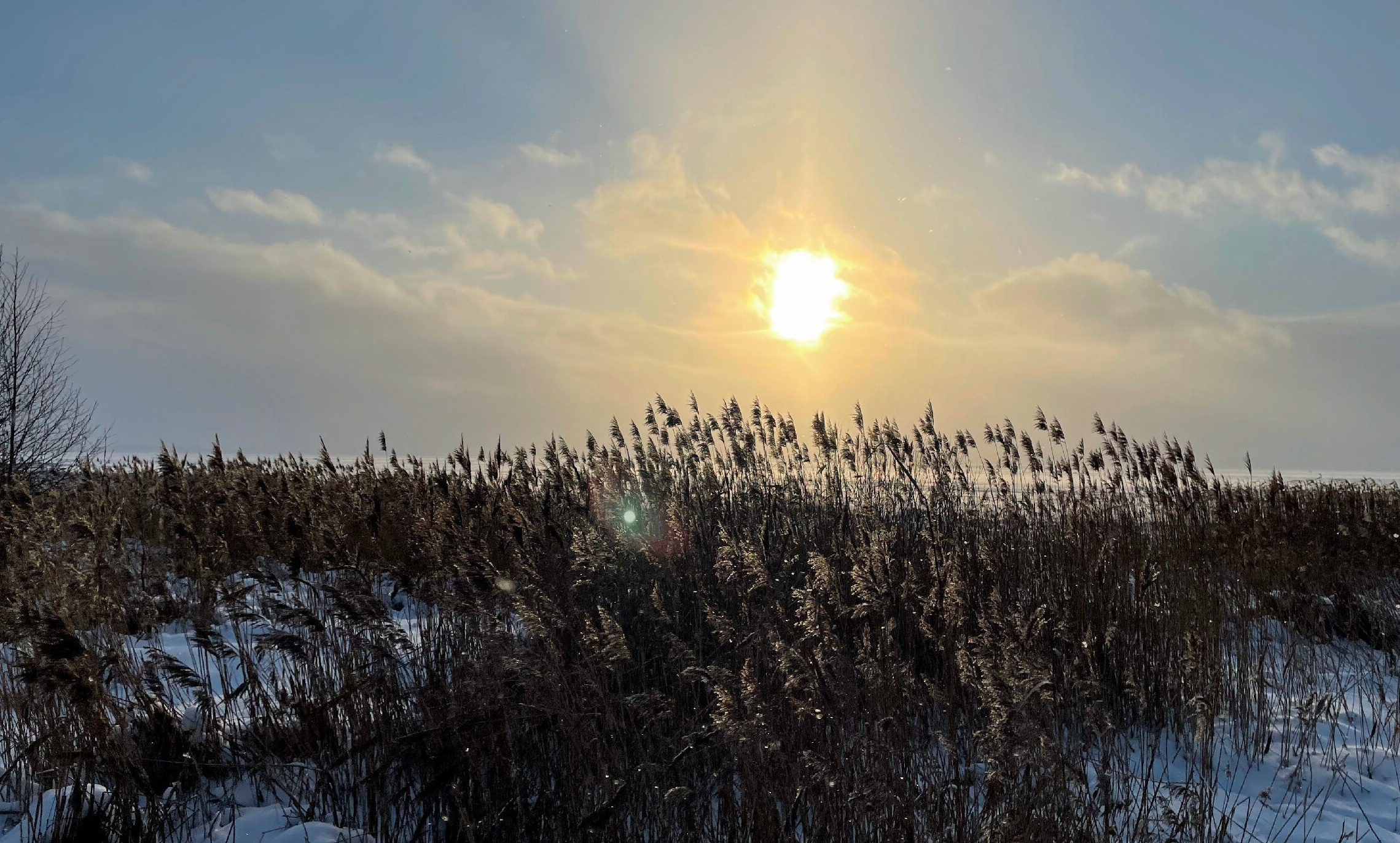 Плещеево озеро в Переславле-Залесском. Проект «Фотокладовка»: блог уличной фотографии в формате street photo