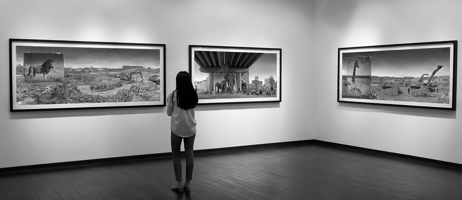 Художественная фотография примеры