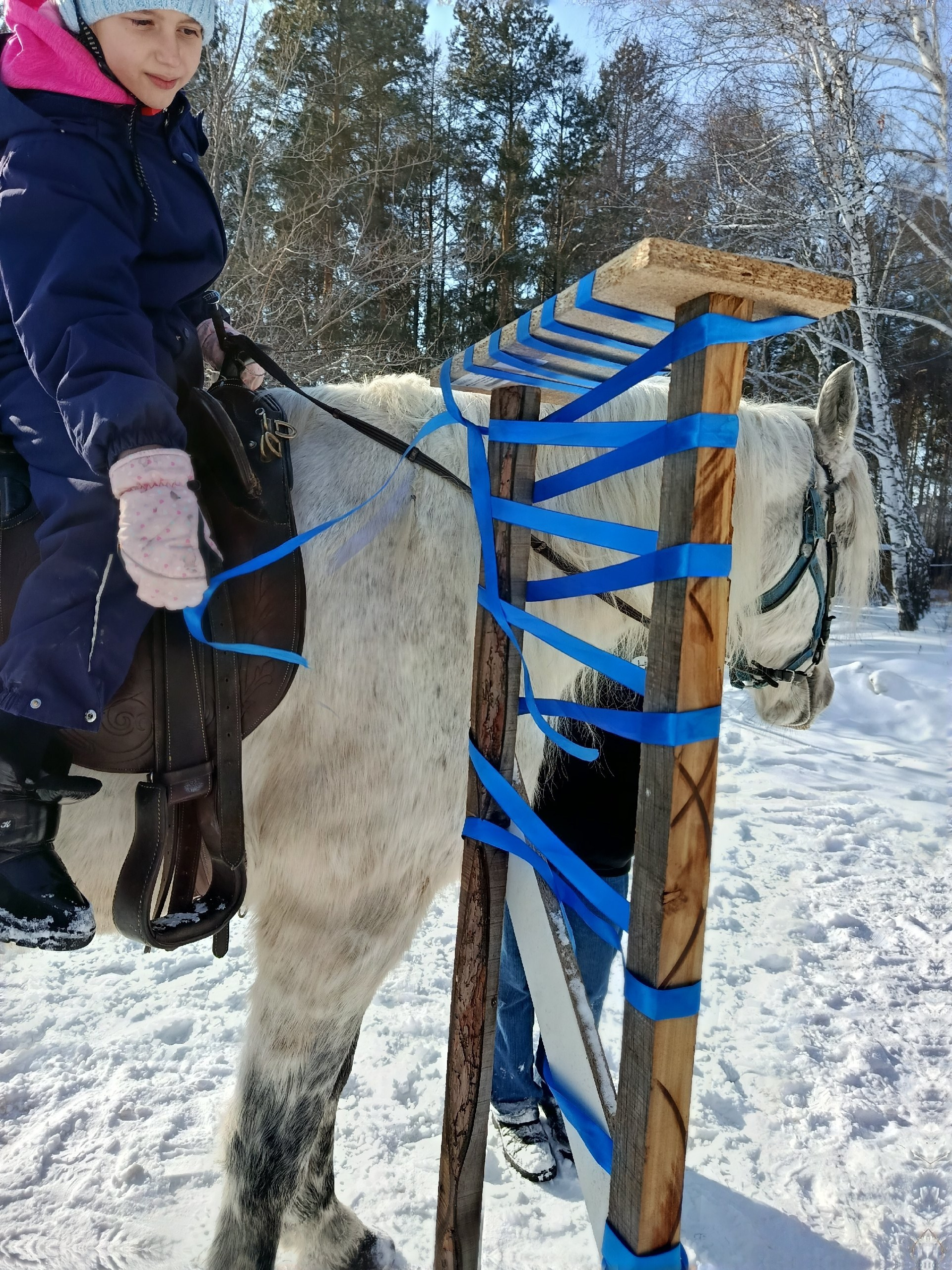 Инклюзивные и семейные мероприятия. Конные прогулки в клубе «Анкор» — Омск