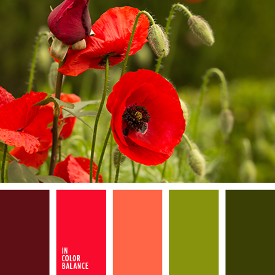 Локации и их цветовые гармонии. Степанова Анна.Детский и семейный фотограф Крым