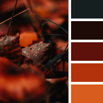 Собираемся на осеннюю фотосессию. Фотограф Денис Гавриленков в Москве