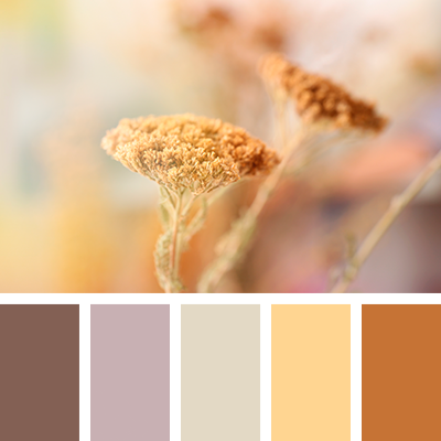 Собираемся на осеннюю фотосессию. Фотограф Денис Гавриленков в Москве