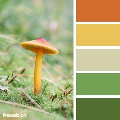 Советы. Женский и семейный фотограф