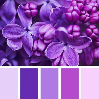 Фотосессии в цветении. Детский и семейный фотограф в Красноярске. Фотосессии новорожденных малышей до 1 месяца