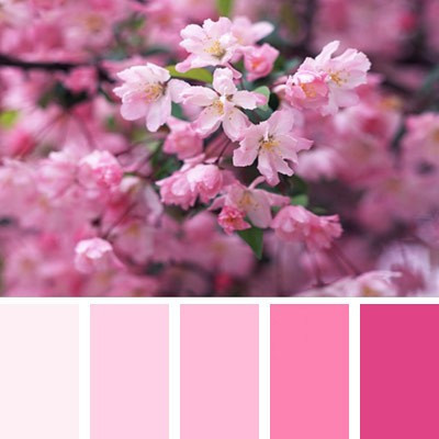 Фотосессии в цветении. Детский и семейный фотограф в Красноярске. Фотосессии новорожденных малышей до 1 месяца