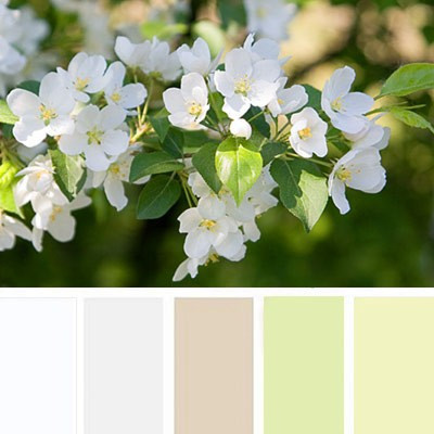 Фотосессии в цветении. Детский и семейный фотограф в Красноярске. Фотосессии новорожденных малышей до 1 месяца