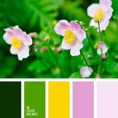 Подготовка к фотосессии в цветении. Женский фотограф в Москве Богдашкина Динара