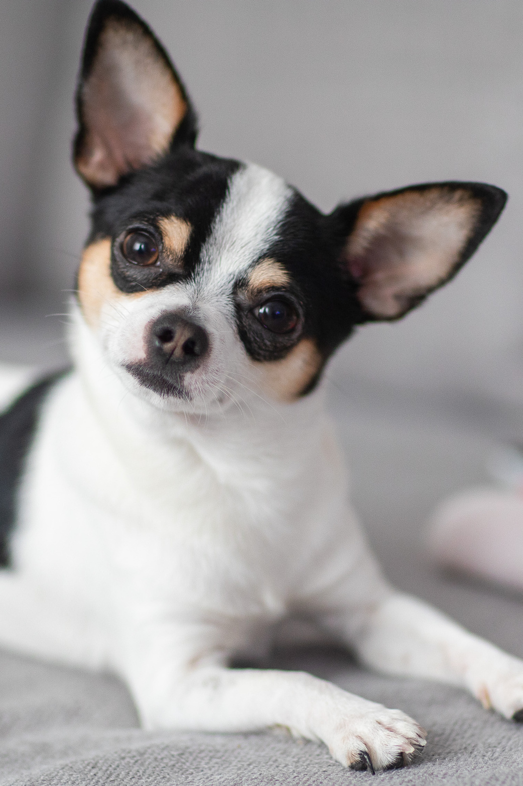 Услуги. Фотограф Антон Волков  г. Дмитров