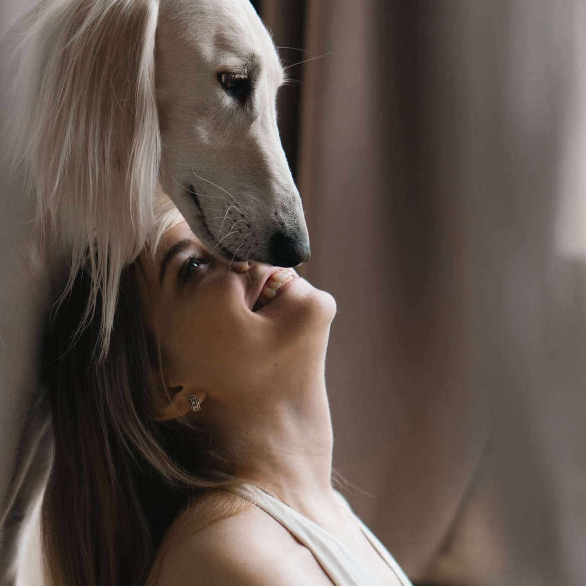 Старт с 0. Фотограф — Анималист | Санкт-Петербург