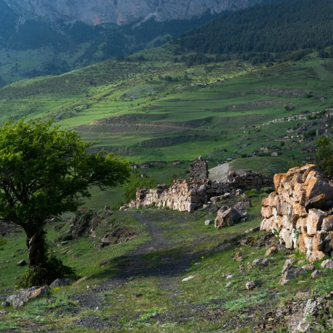 Северная Осетия. Семейный и детский фотограф в Москве