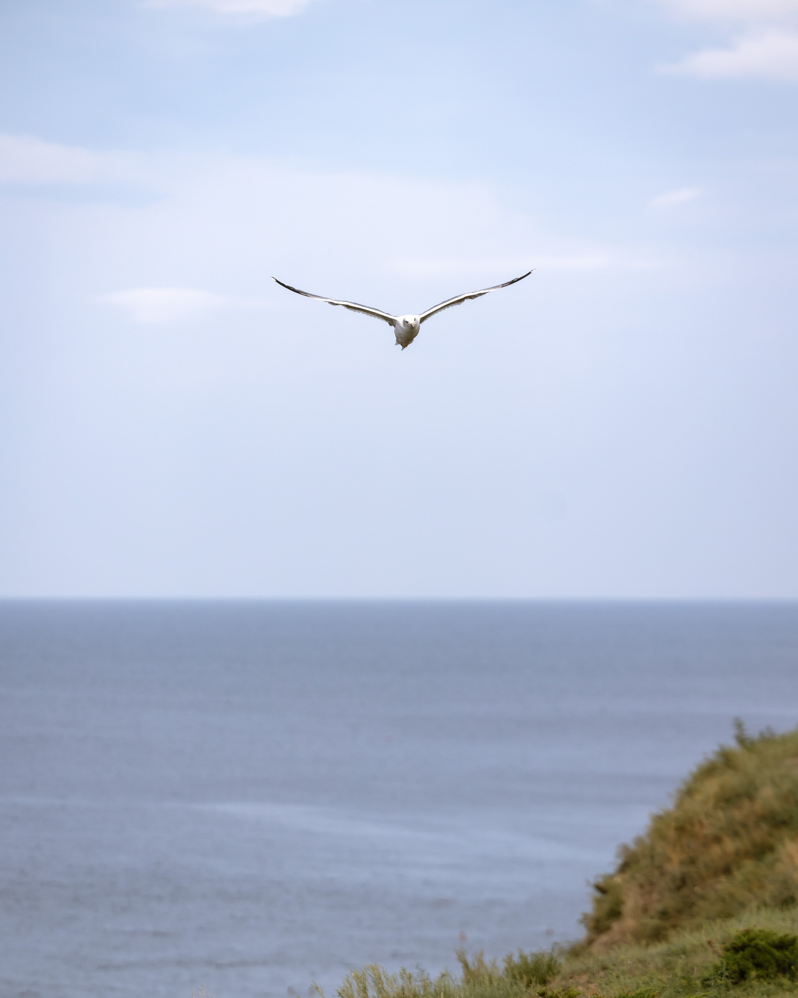 Фотограф Владимир Охрименко