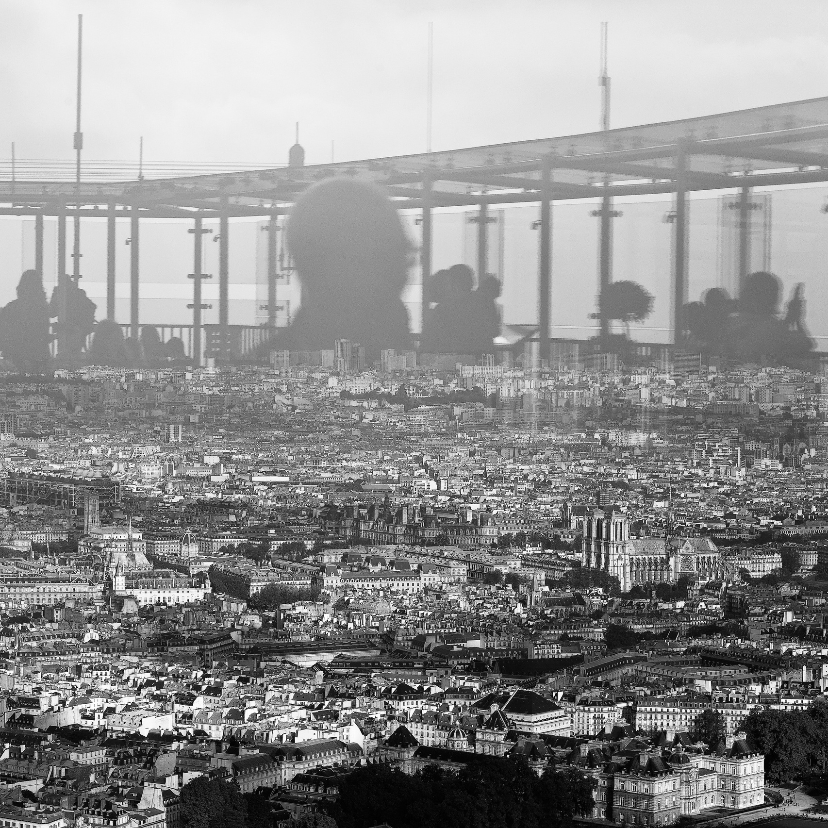 Elenka Donbrova photogtapher