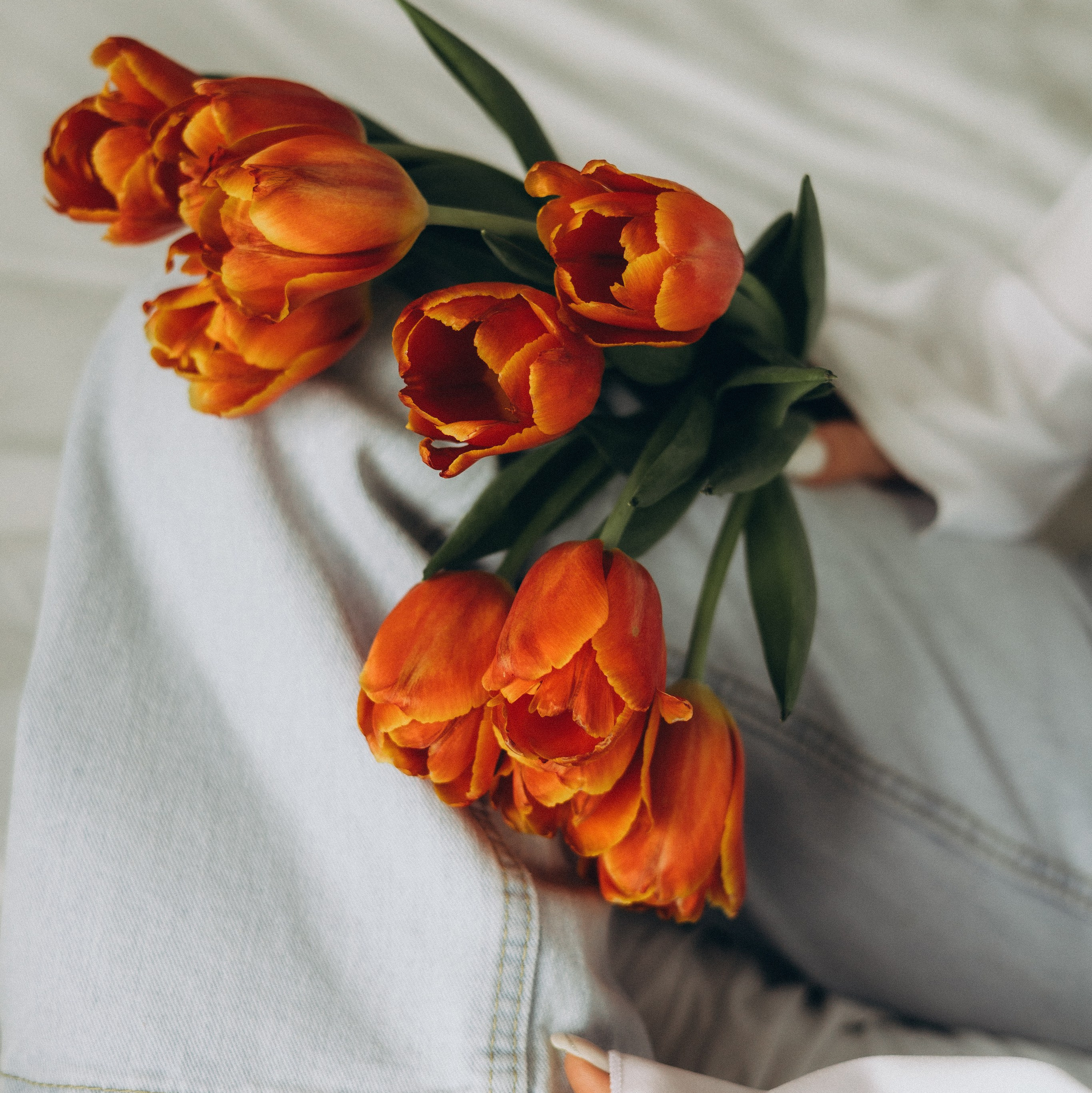 Услуги. Анна Лобастова | Фотограф для особенных мгновений ❤ Москва Люберцы