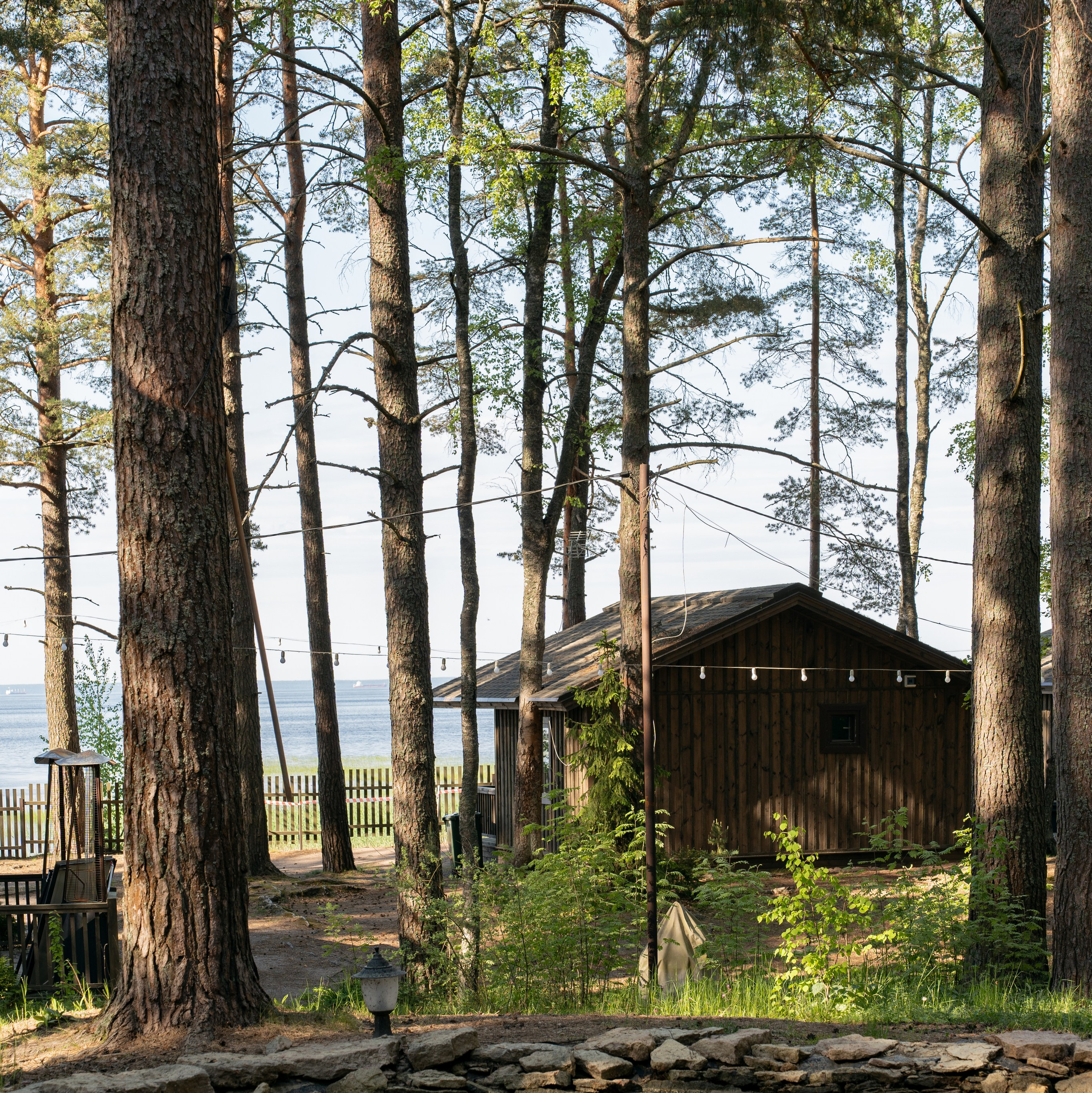 Услуги и цены. Фотограф Инесса Фокина