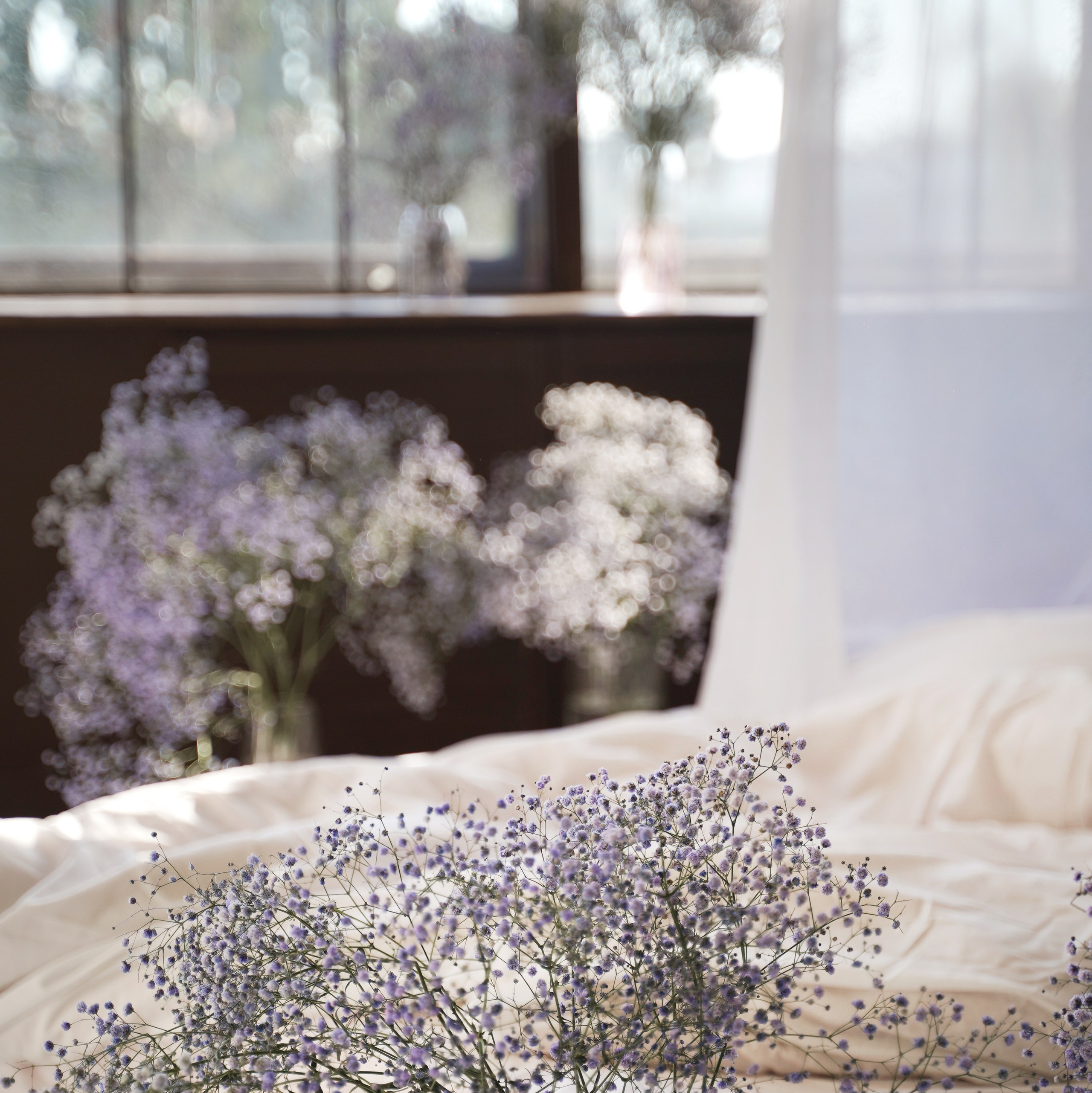 Фотостудия. Фотограф Вера Зверуго в Орле