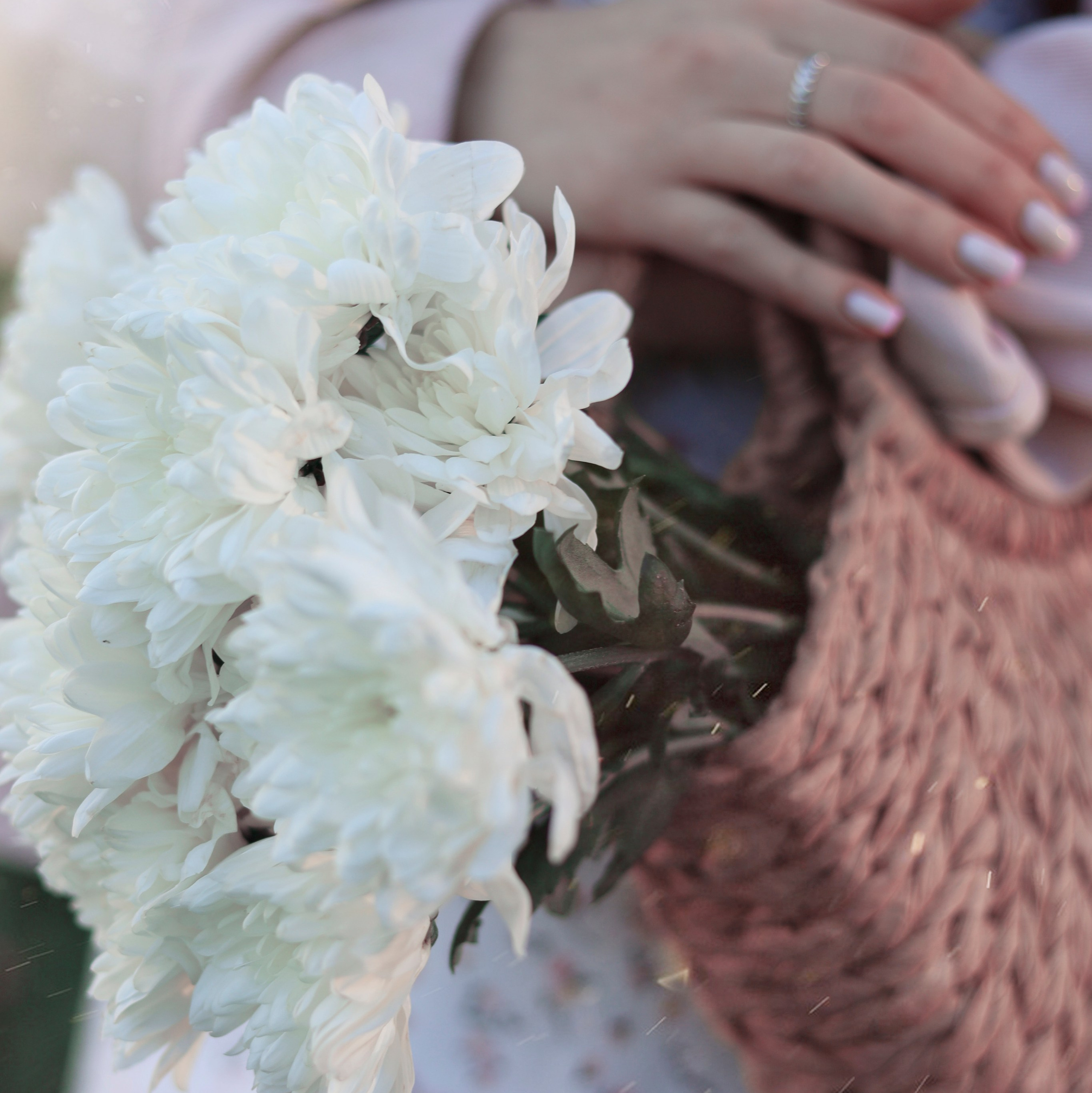 Кейс Таня цветение