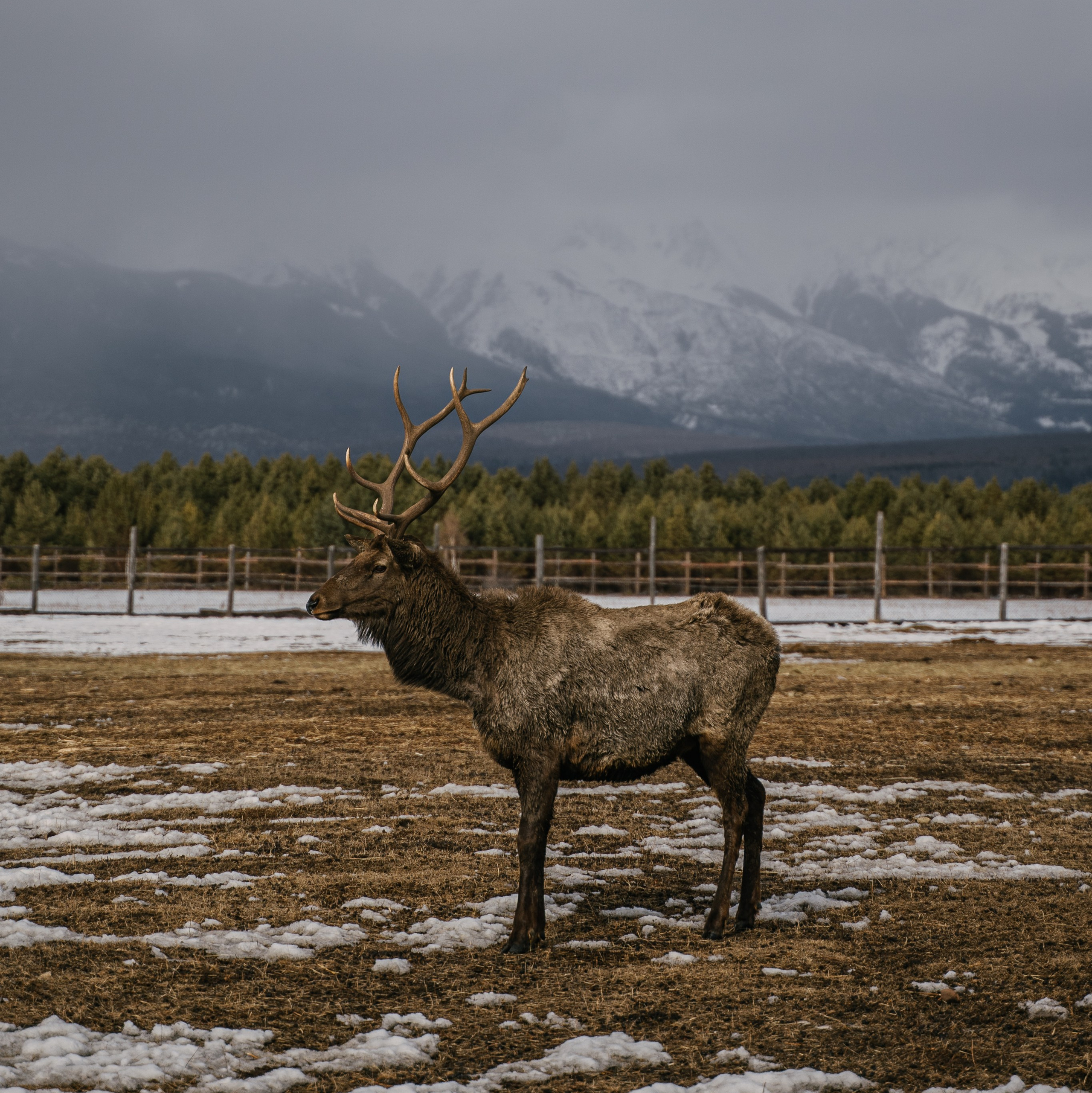 Путешествия. Фотограф Ольга Пучкова