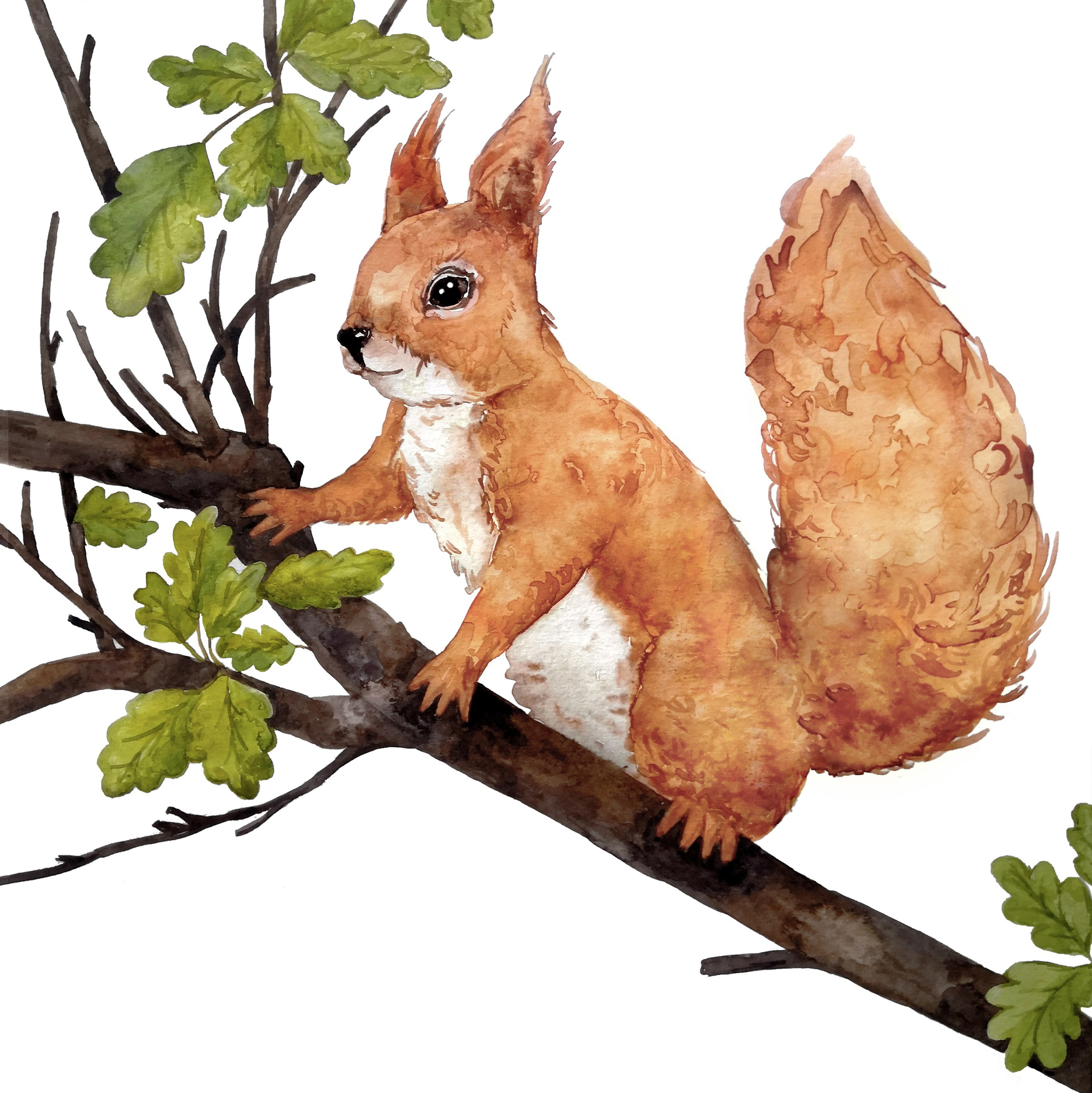 Роспись стен и декор в детских комнатах Москва и Подмосковье