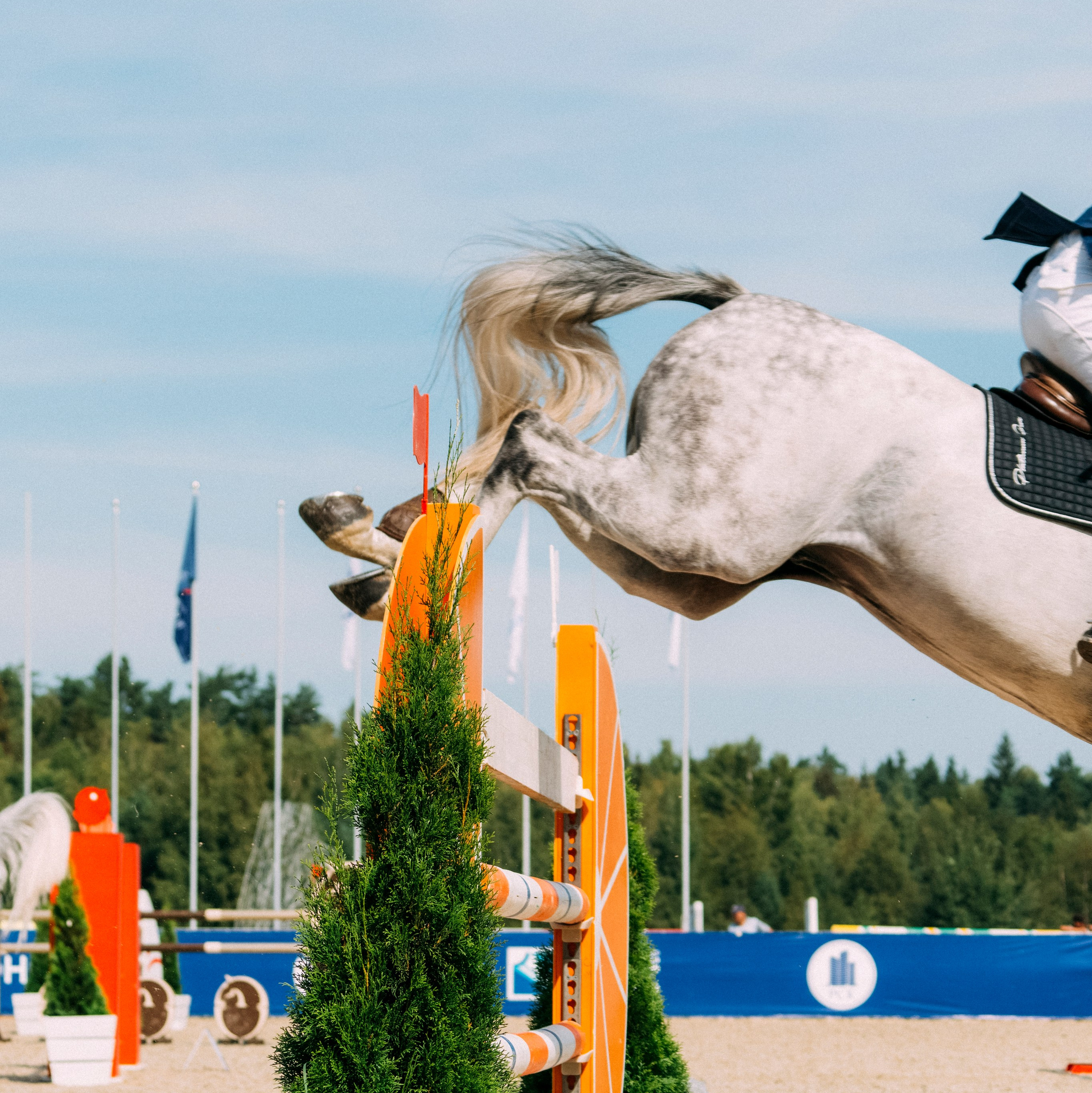 Услуги. Фотограф Москва Кристина Джоанна