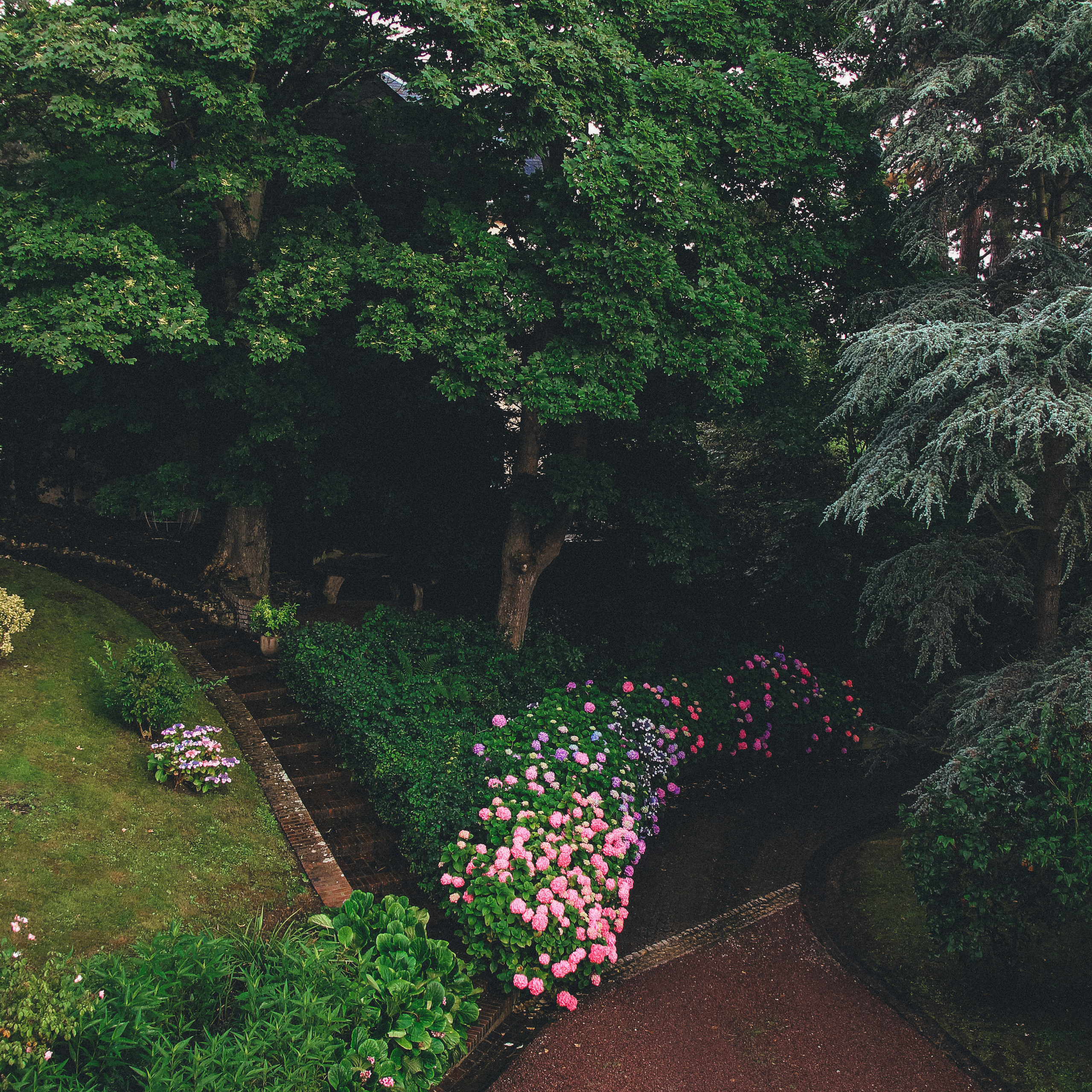 Свадьба во Франции. Семейный фотограф на крещение Кристина Фриденберга, Москва