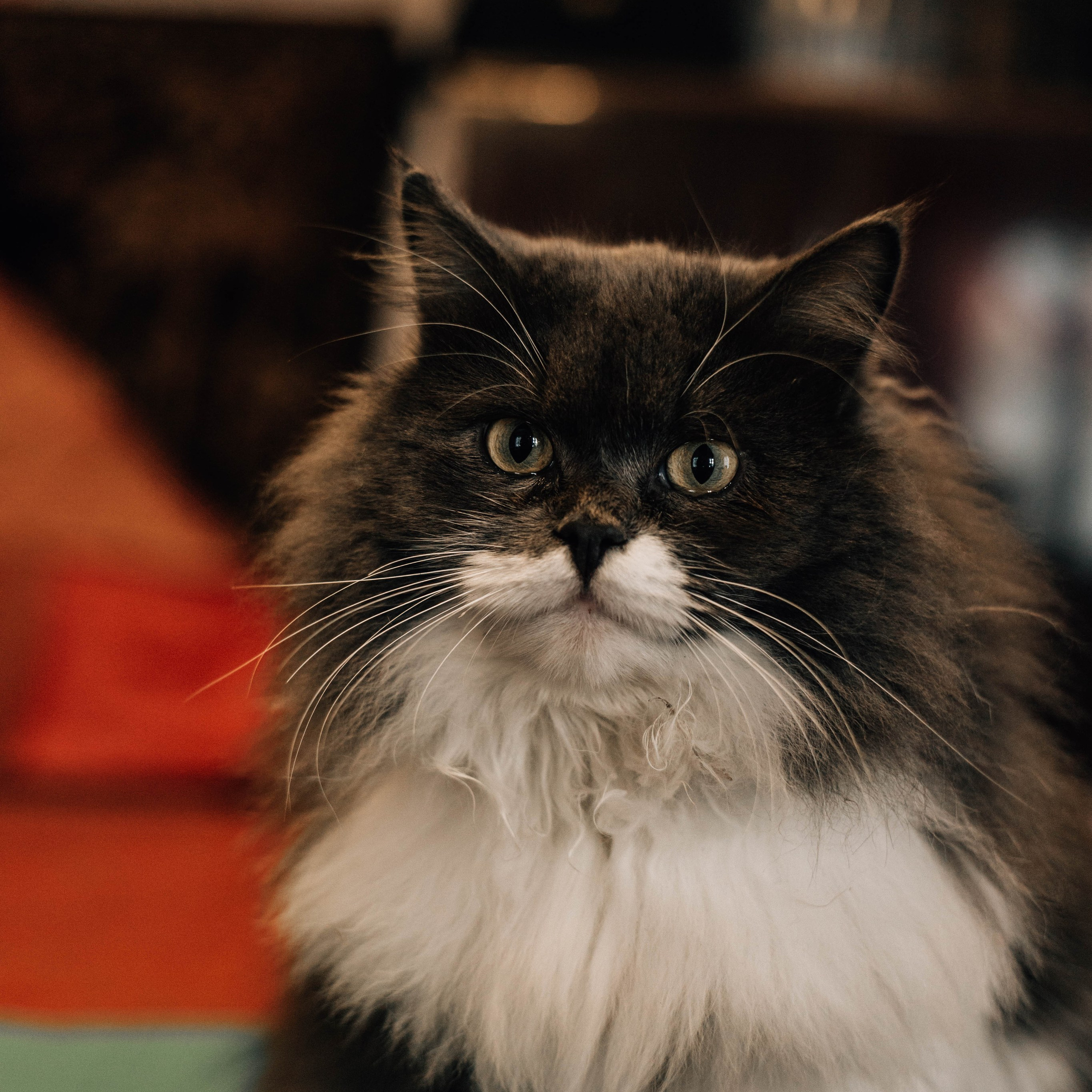 Александра: пошив церковных облачений. Фотограф Серебряные Пруды — Екатерина Рыкина | Детские и семейные фотосъемки, бытовой жанр