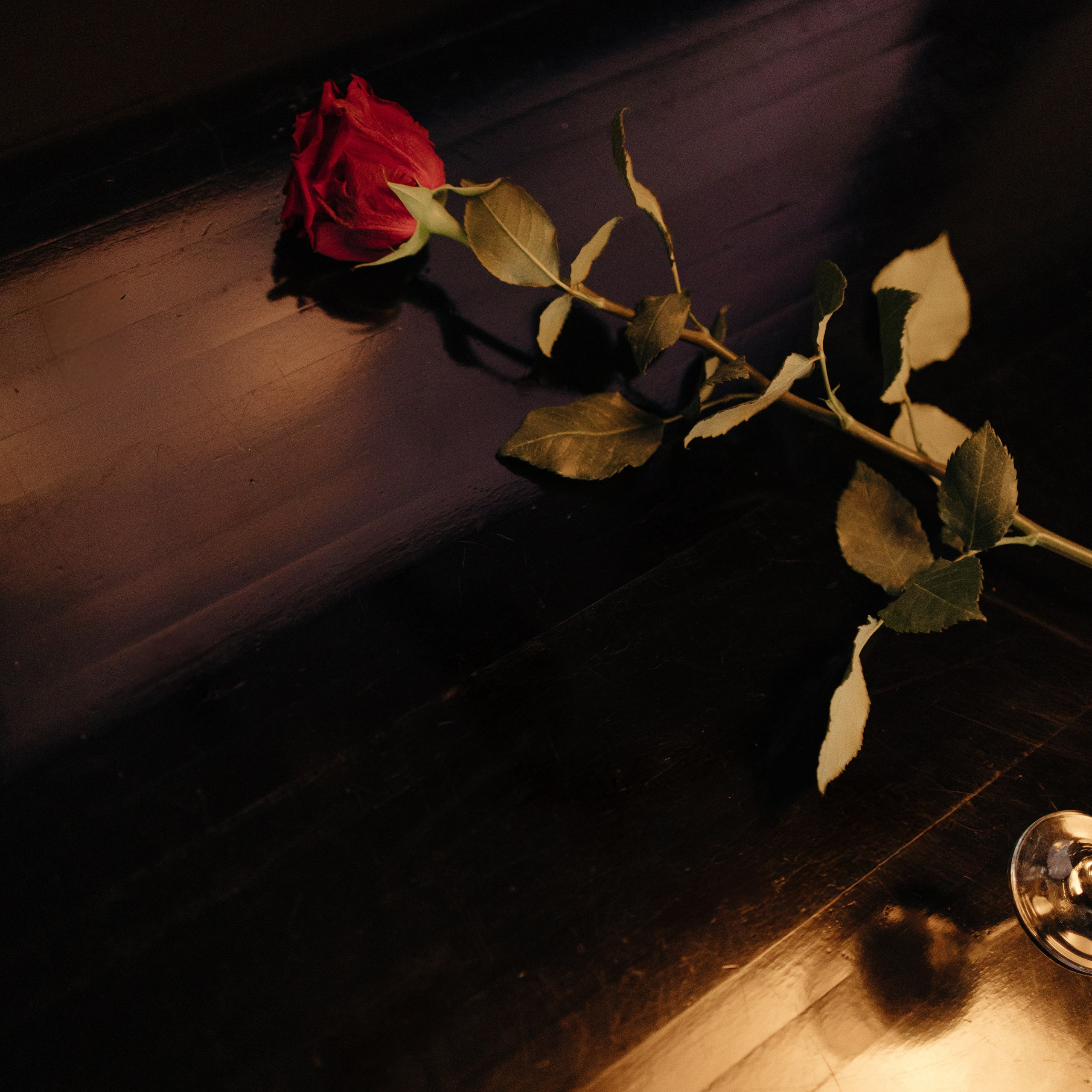 Репортаж и события. Фотограф Софья Гречка