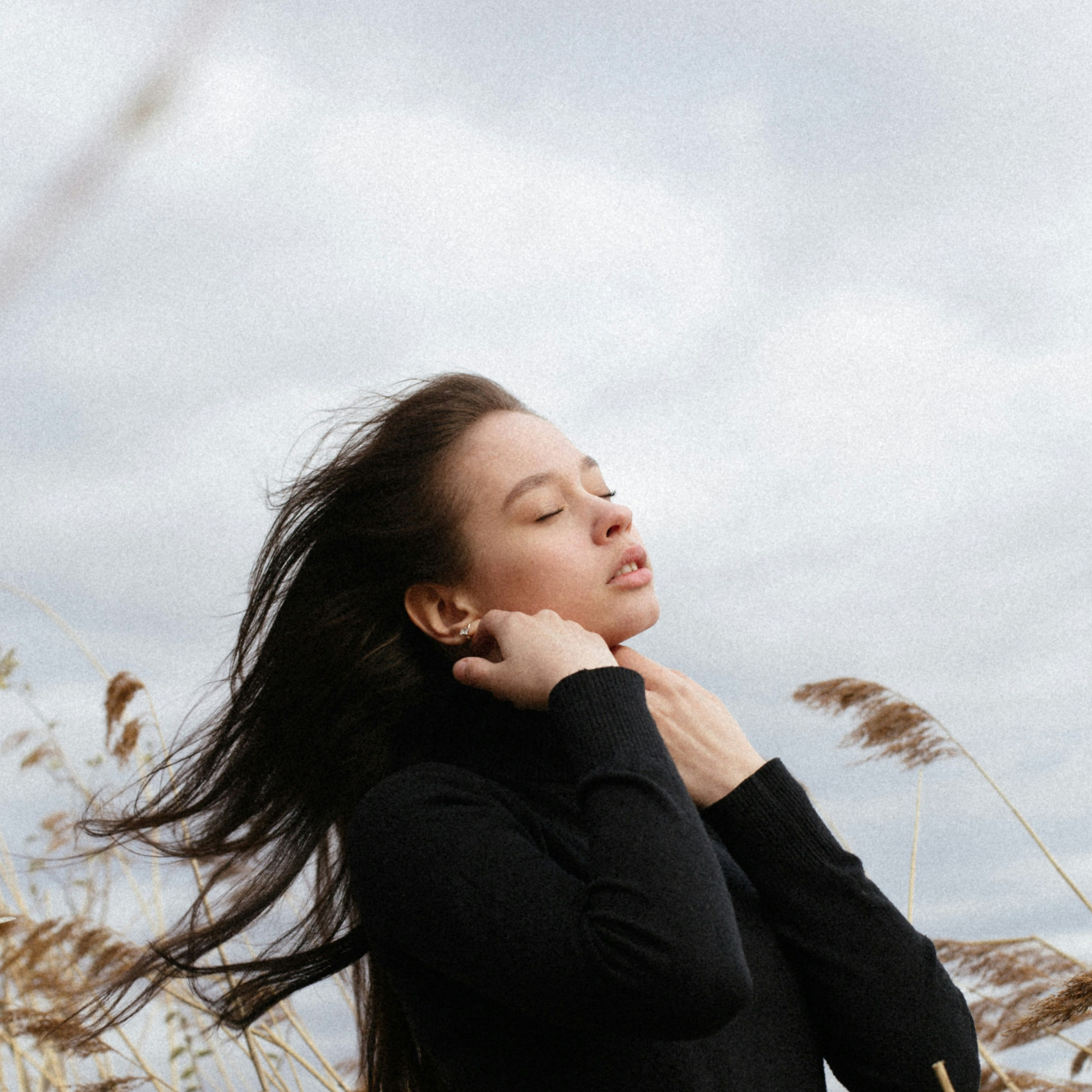 CONSULTATION. Oolessen