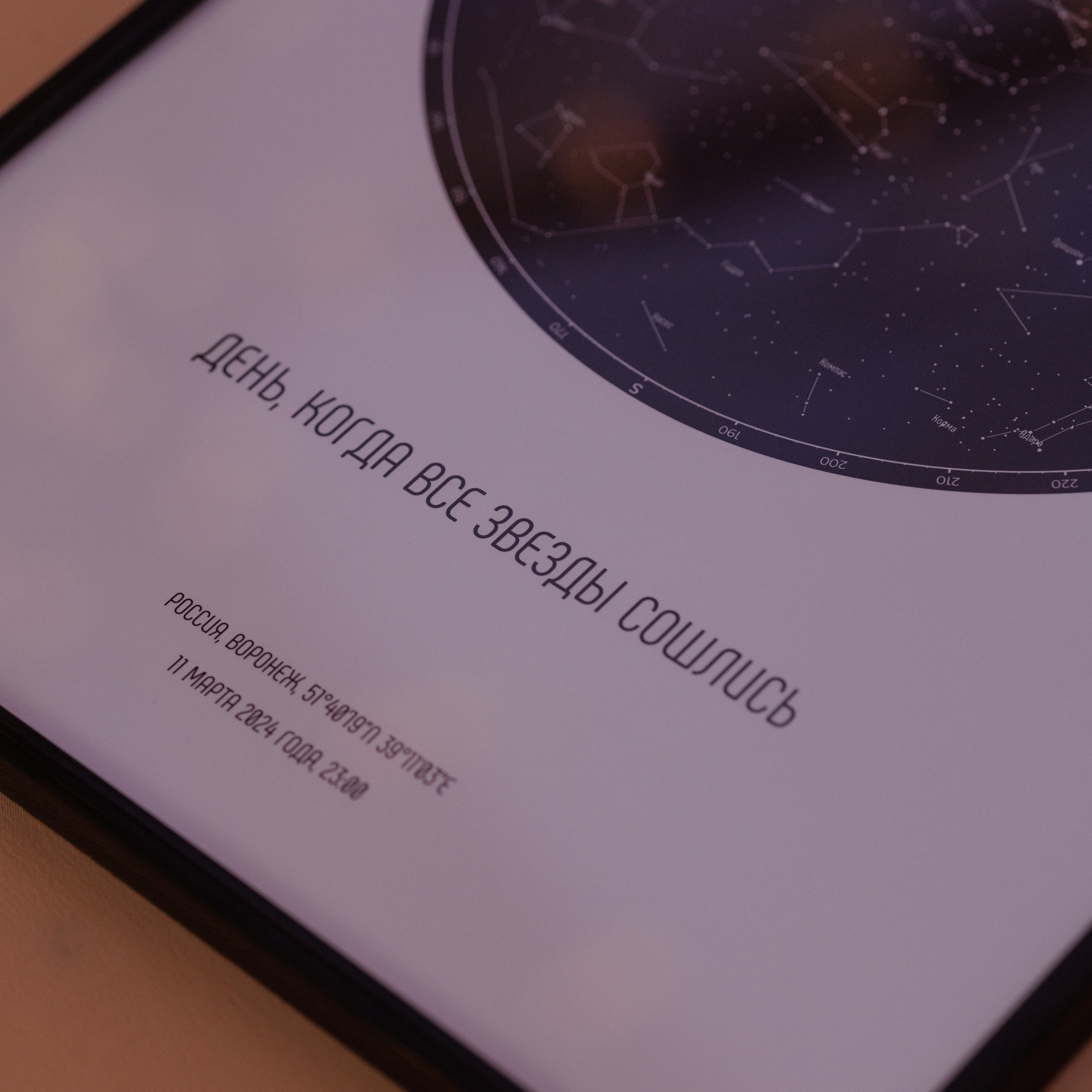 Свадебные. Фотограф Софья Гречка