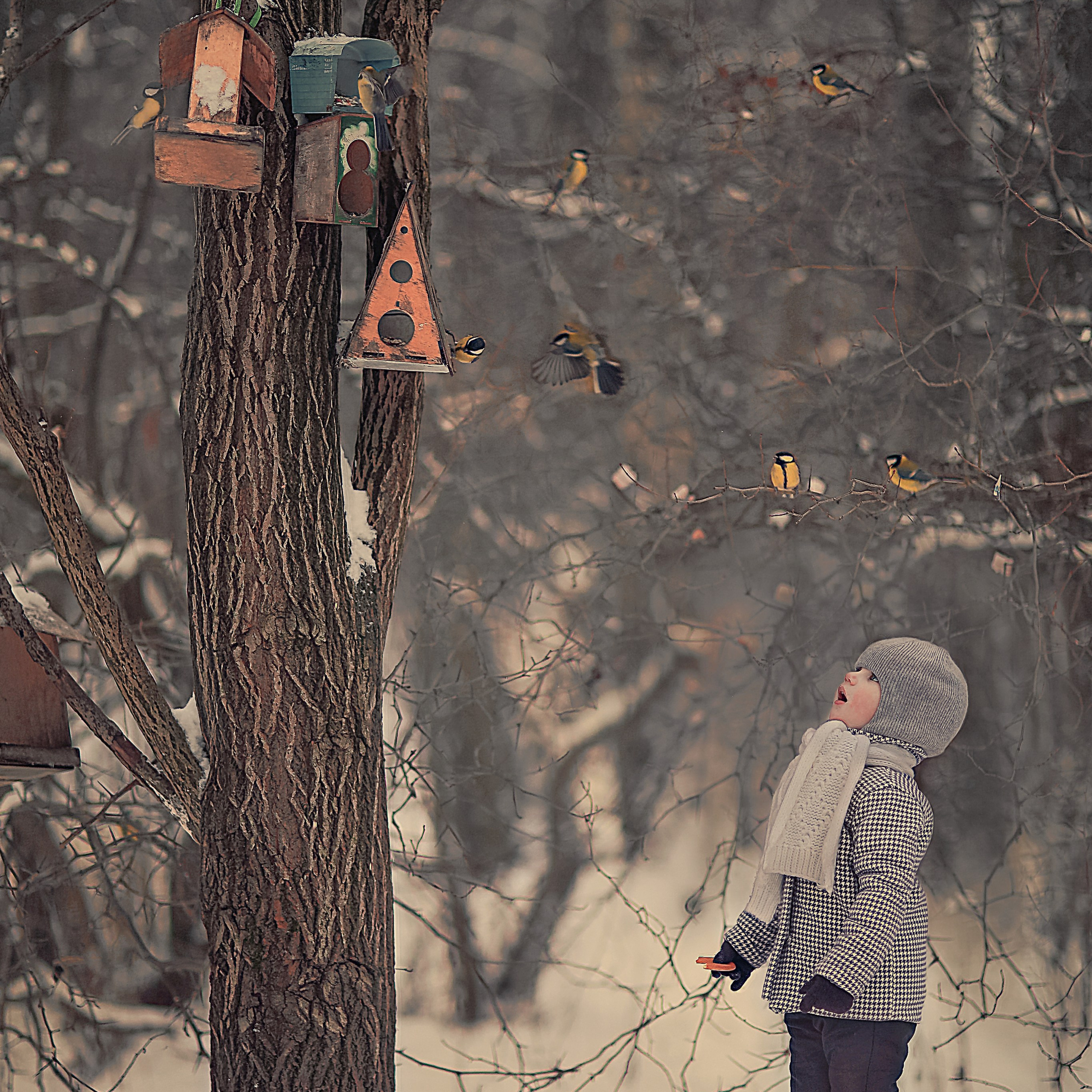 Услуги. Фотограф Юлия Рязанова Москва семейный и детский