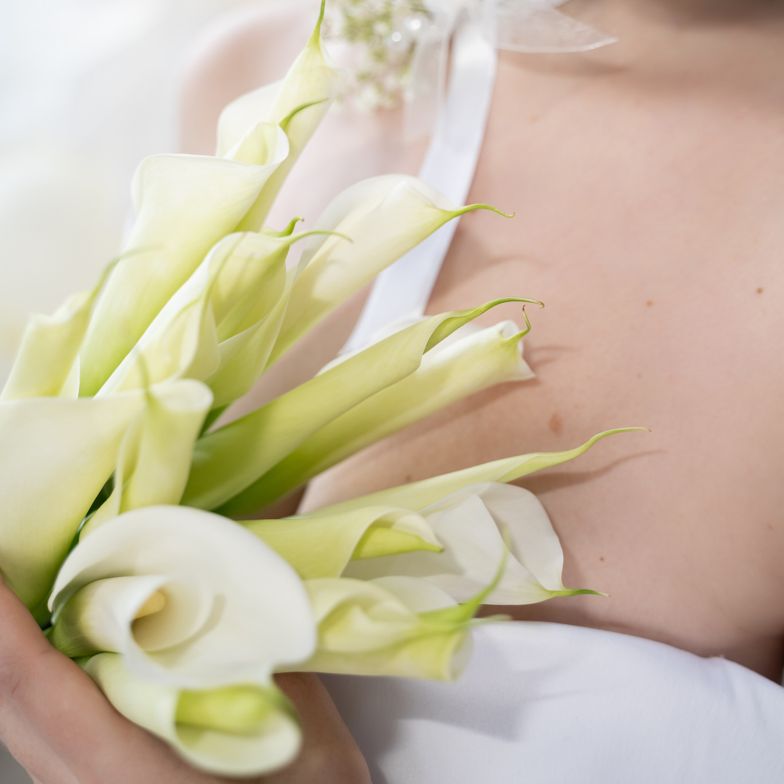 Свадебная фотосъёмка. Фотограф в Одинцово, Москве