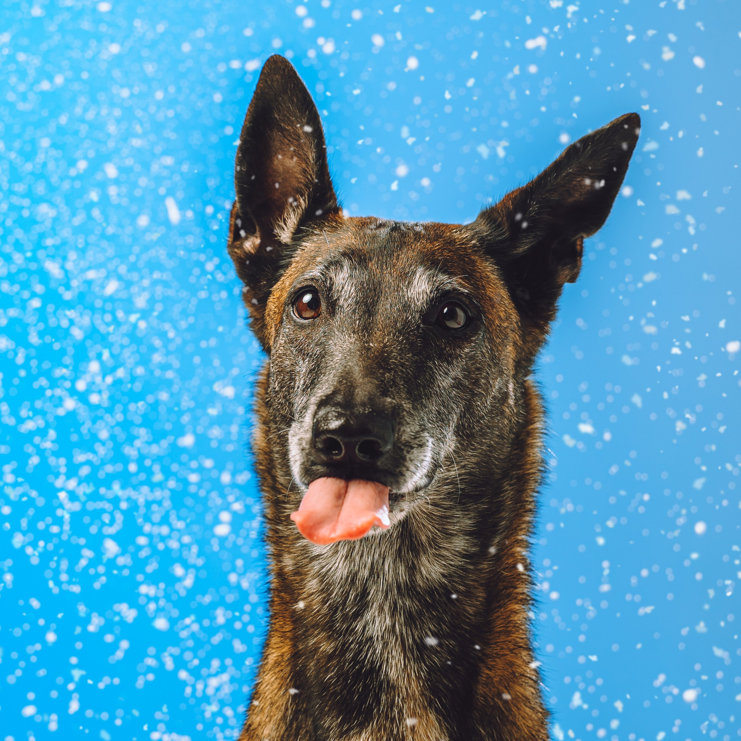 Воркшоп по импульсному свету