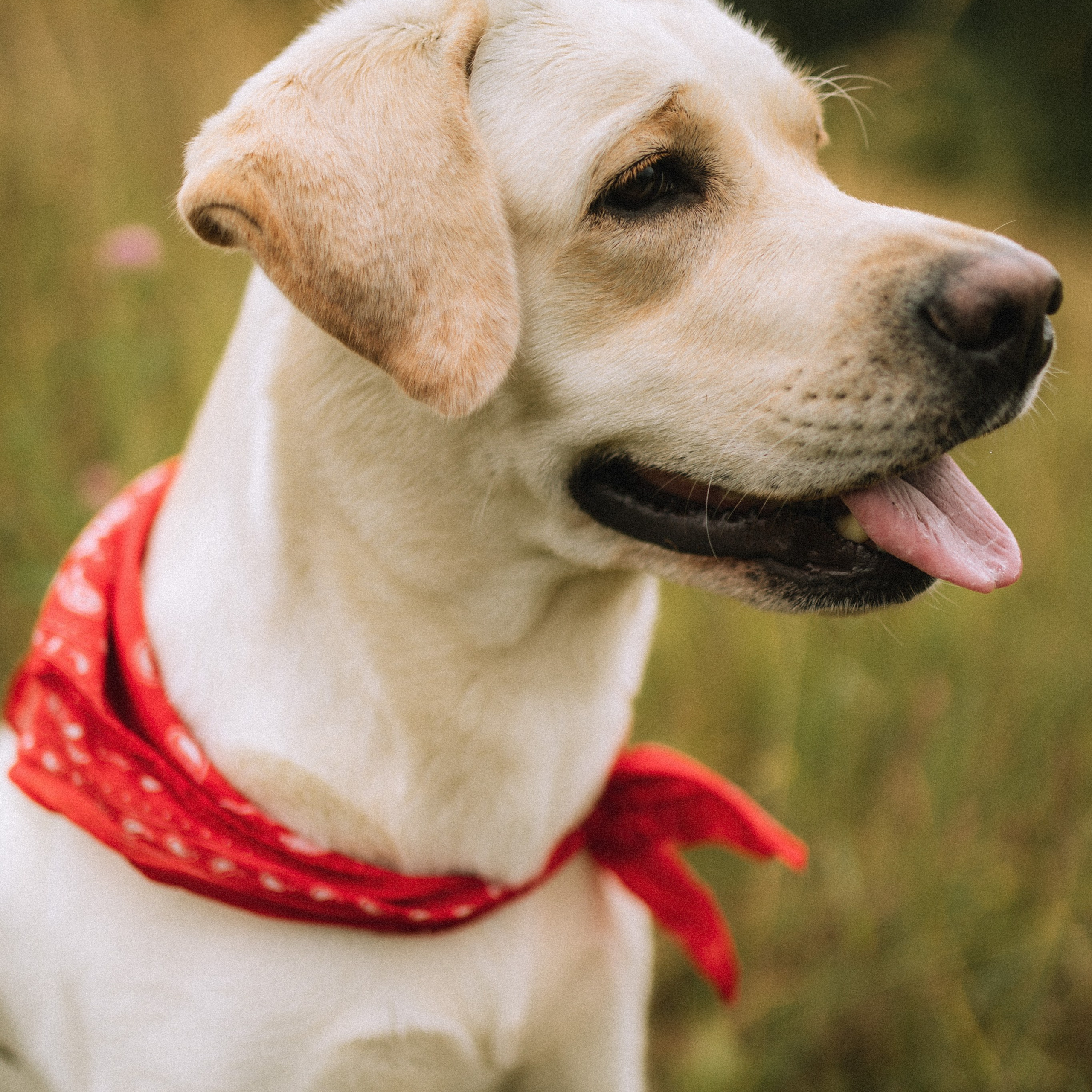 Услуги. Фотограф Александра Кузнецова