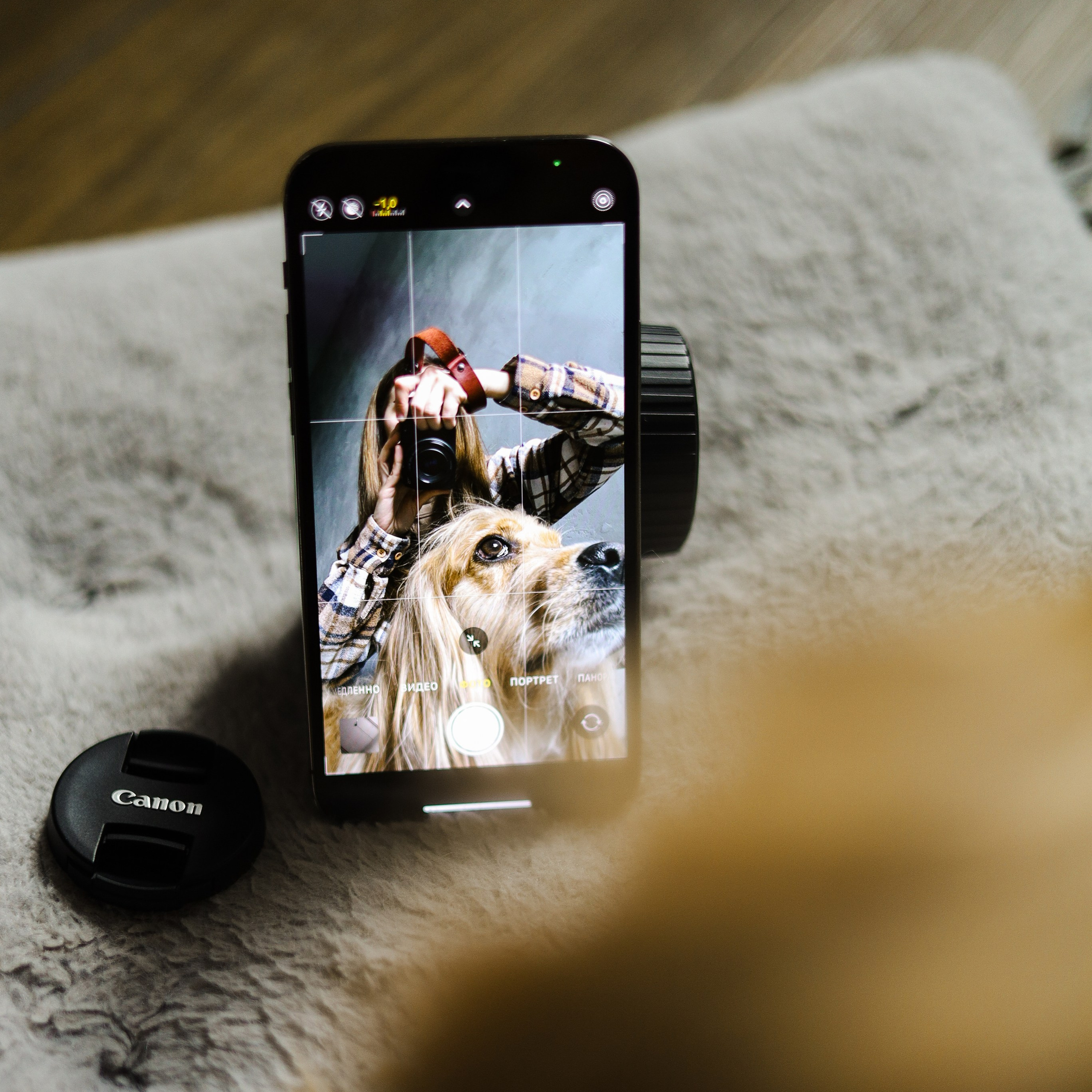 Подарочный сертификат. Фотограф-анималист Ксения Шевцова|Москва